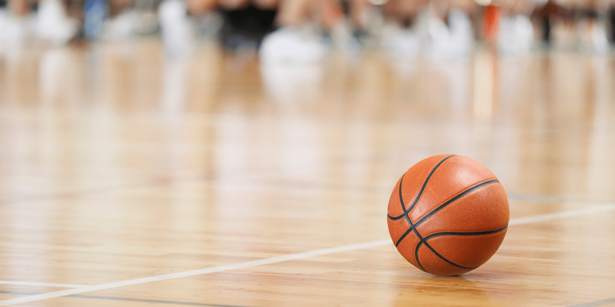 日本ソーシャルバスケットボール協会公式ホームページ 